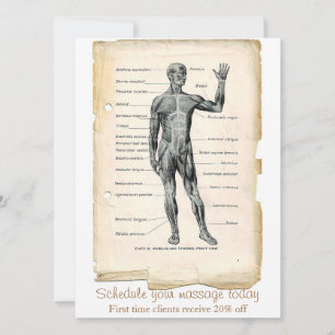 Anatomisk främre vintage-ritning inbjudningar