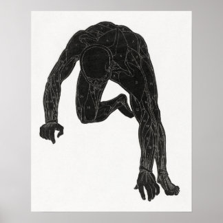 Anatomisk studie av en mans nacke poster