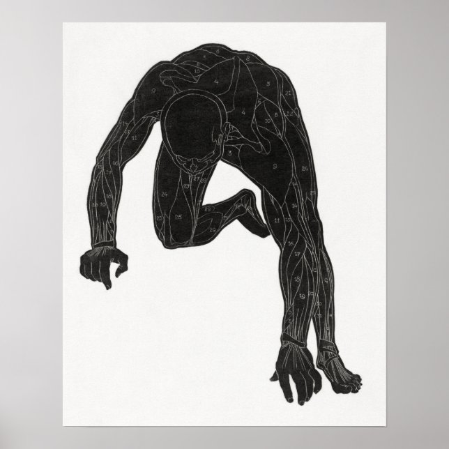 Anatomisk studie av en mans nacke poster (Framsidan)