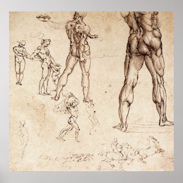 Anatomiska studier poster (Framsidan)