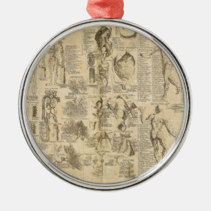 Anatomiskt diagram från cyklopaedia 1728 julgransprydnad metall