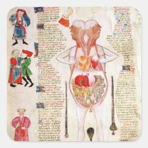 Anatomiskt diagram fyrkantigt klistermärke