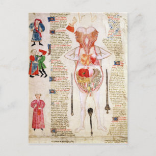 Anatomiskt diagram vykort