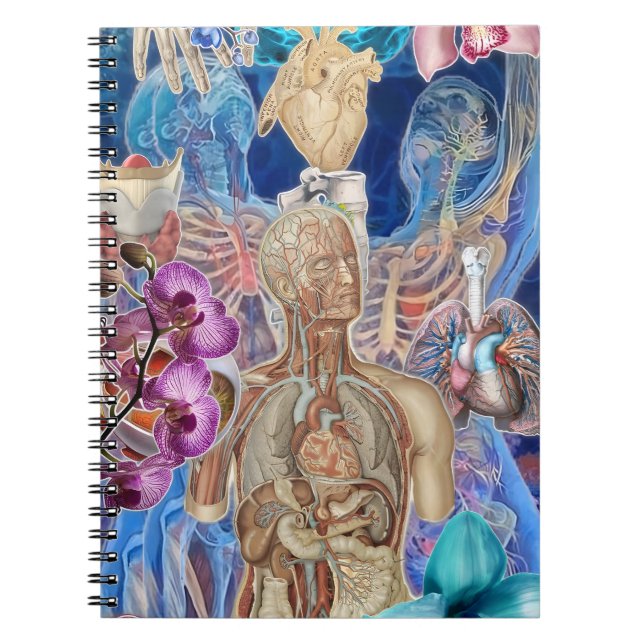 Anatomiskt Flora: Ett utkast i Bloom Anteckningsbok (Framsidan)