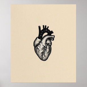Anatomiskt Heart modern svart minimalistisk konst Poster