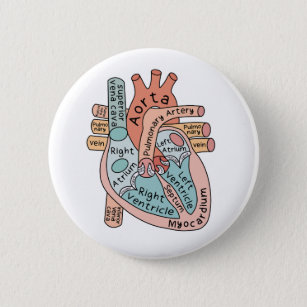 Anatomiskt hjärta, hjärtklappning ICU Nurse Gift Knapp