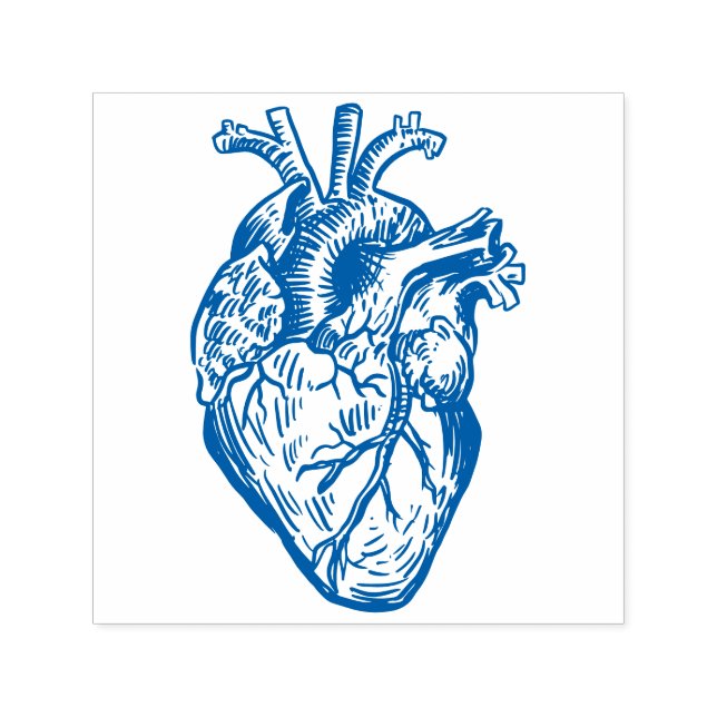 Anatomiskt hjärta självfärgande stämpel (Design)