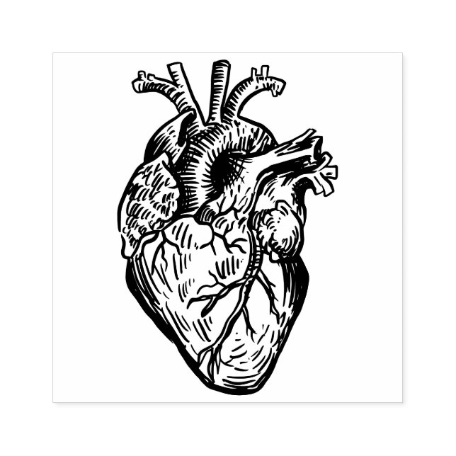 Anatomiskt hjärta stämpel (Tryck)