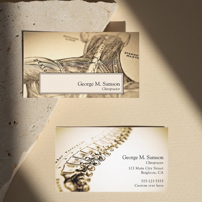 Anatomiskt illustrerande kiropraktor visitkort (Skapare uppladdad)