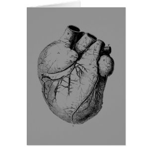 Anatomiskt korrekt hjärta hälsningskort