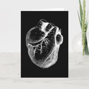 Anatomiskt korrekt hjärta kort