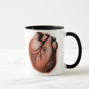 Anatomiskt korrekt hjärta mugg