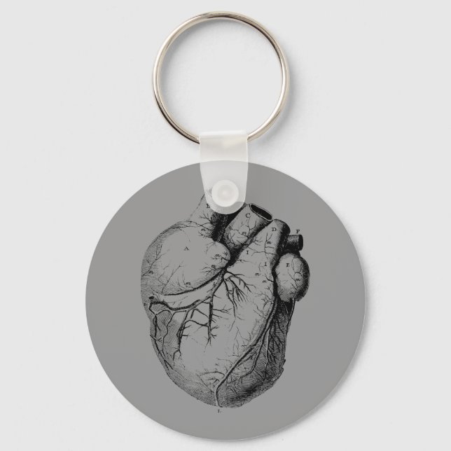 Anatomiskt korrekt hjärta nyckelring (Framsida)