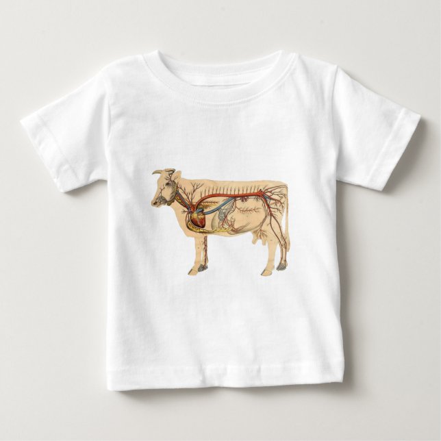 Anatomiskt kute Cow Tröja (Framsida)