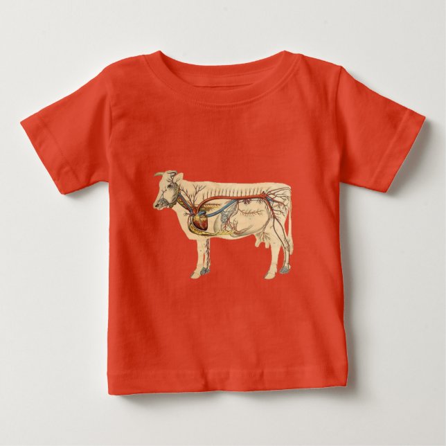 Anatomiskt kute Cow Tröja (Framsida)