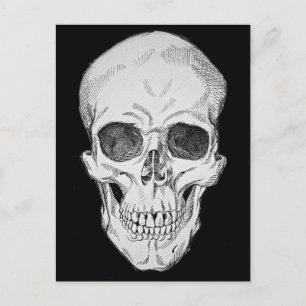 Anatomiskt ljus i hull (frontalvy) vykort