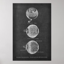 Anatomiskt material från Öga i Choroid & Iris