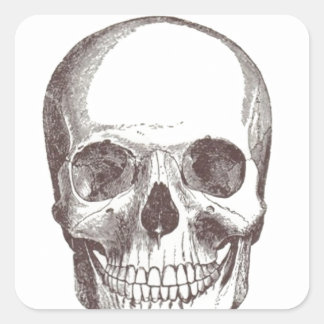 Anatomiskt skal, svart/vitt fyrkantigt klistermärke