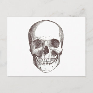 Anatomiskt skal, svart/vitt vykort