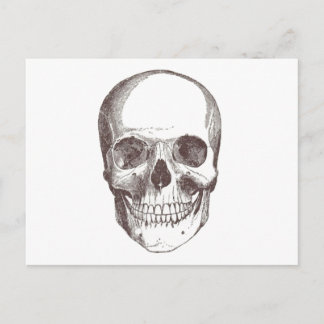 Anatomiskt skal, svart/vitt vykort