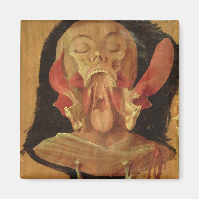 Anatomiskt teckning i huvudet magnet (Framsidan)