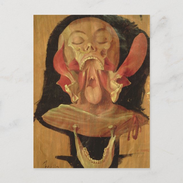 Anatomiskt teckning i huvudet vykort (Framsida)