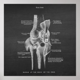 Anatomy Art No 5 Knee Joint Poster