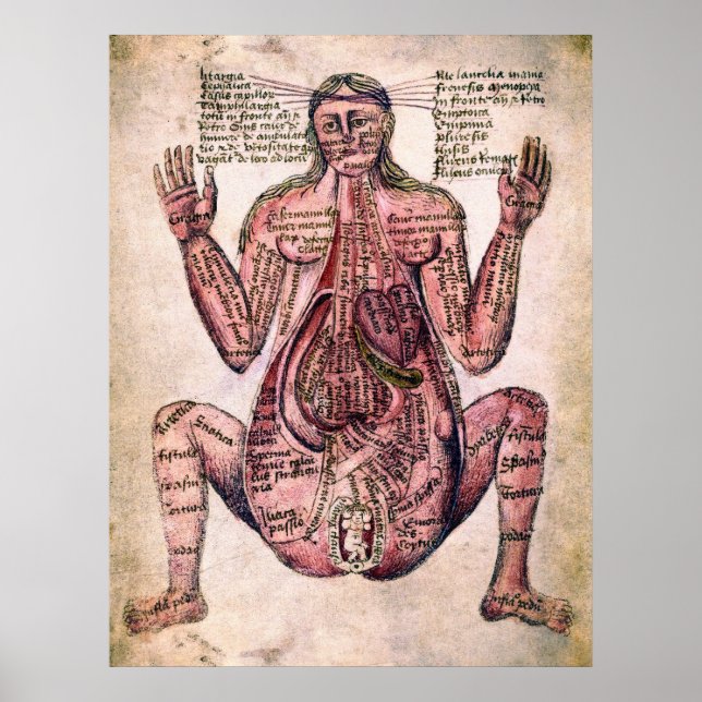 ANATOMY AV PREGNANT WOMAN c. 1400-talet Poster (Framsidan)
