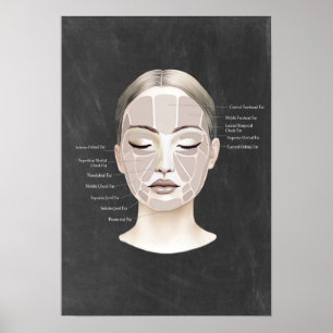 Anatomy Beauty Spa Decor Tjock Pad Anatomy Poster