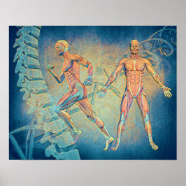 Anatomy Digital Art Poster