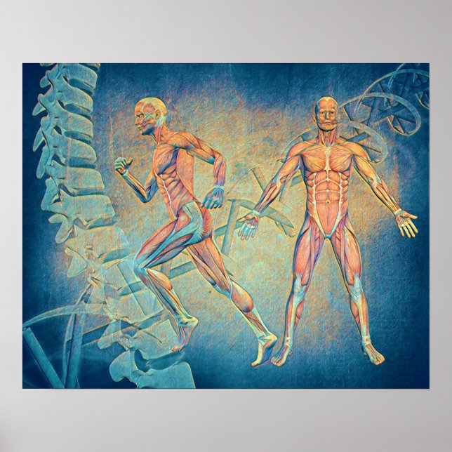 Anatomy Digital Art Poster (Framsidan)