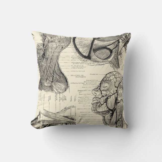 Anatomy Illustration Pillow Kudde (Framsida)