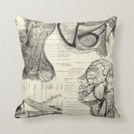 Anatomy Illustration Pillow Kudde