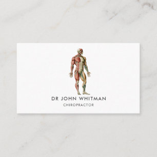Anatomy Muscles Chiropractor Visitkort