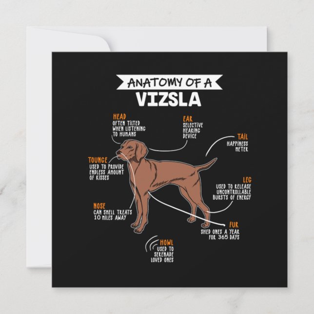 Anatomy Of A Vizsla Dog Inbjudningar (Framsida)