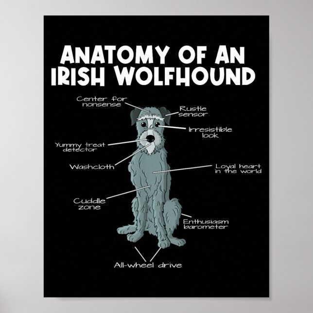 Anatomy Of An Irish Wolfhound  Poster (Framsidan)