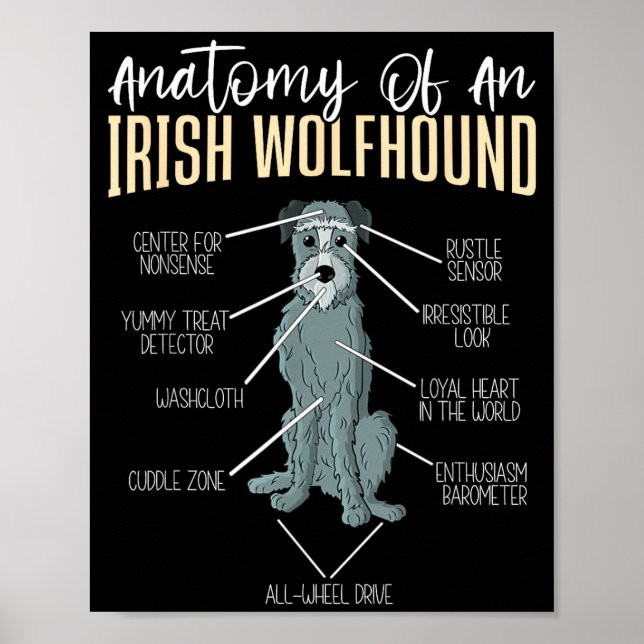 Anatomy Of An Irish Wolfhound  Poster (Framsidan)