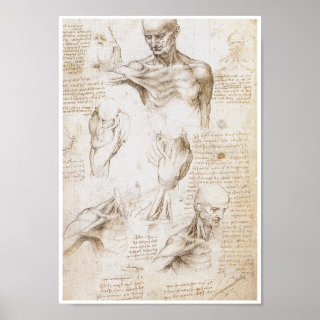 Anatomy of the Shoulder, Leonardo da Vinci Poster (Framsidan)