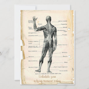 Anatomy Posterior Inbjudningar
