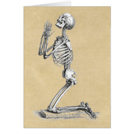 Anatomy Skeleton Illustration Greeting Card Hälsningskort