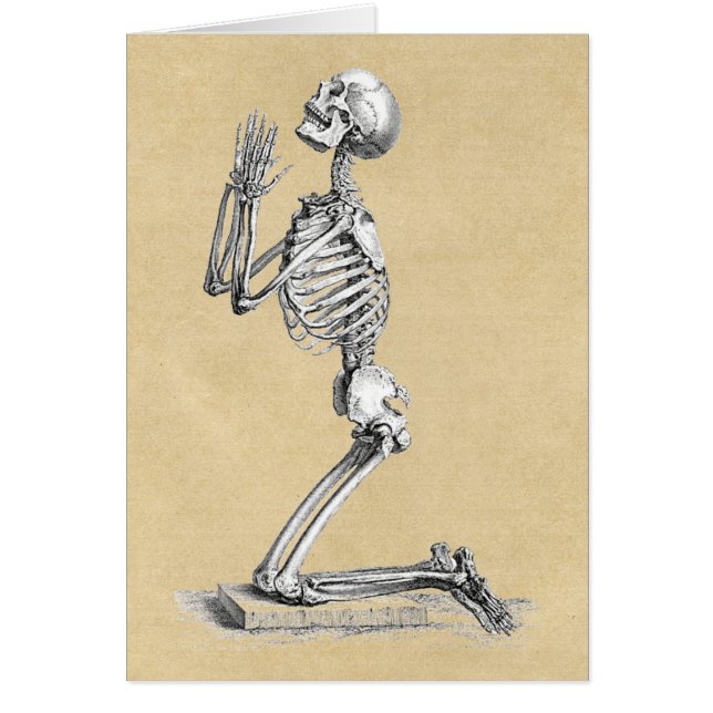 Anatomy Skeleton Illustration Greeting Card Hälsningskort (Framsidan)
