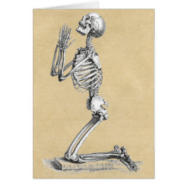 Anatomy Skeleton Illustration Greeting Card Hälsningskort