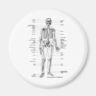 ANATOMY SKELETON T-SHIRTS OCH GIFTS MAGNET