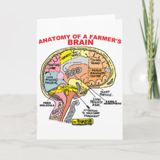 ANATOY OF A FARMER'S BRAIN KORT