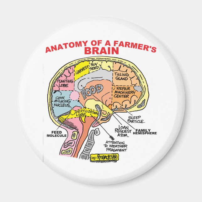 ANATOY OF A FARMER'S BRAIN MAGNET (Framsidan)