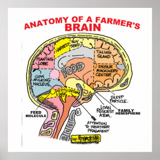 ANATOY OF A FARMER'S BRAIN POSTER