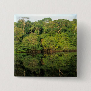 Anavilhanas, Amazonas, Brasilien. Regnskog älv Knapp