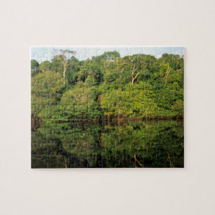 Anavilhanas, Amazonas, Brasilien. Regnskogflod Pussel