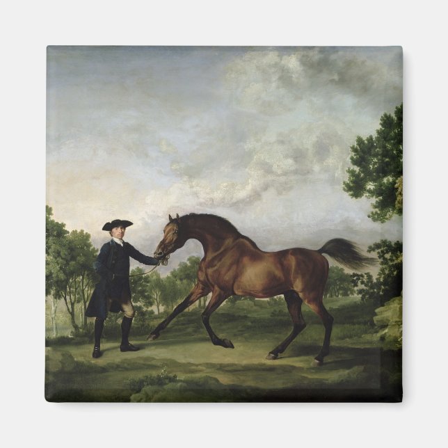 Ancaster's bay Stallion "Blank" Magnet (Framsidan)