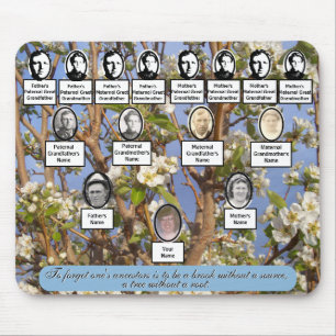 Ancestor-citat för Pear Blommars Family Träd-fotos Musmatta